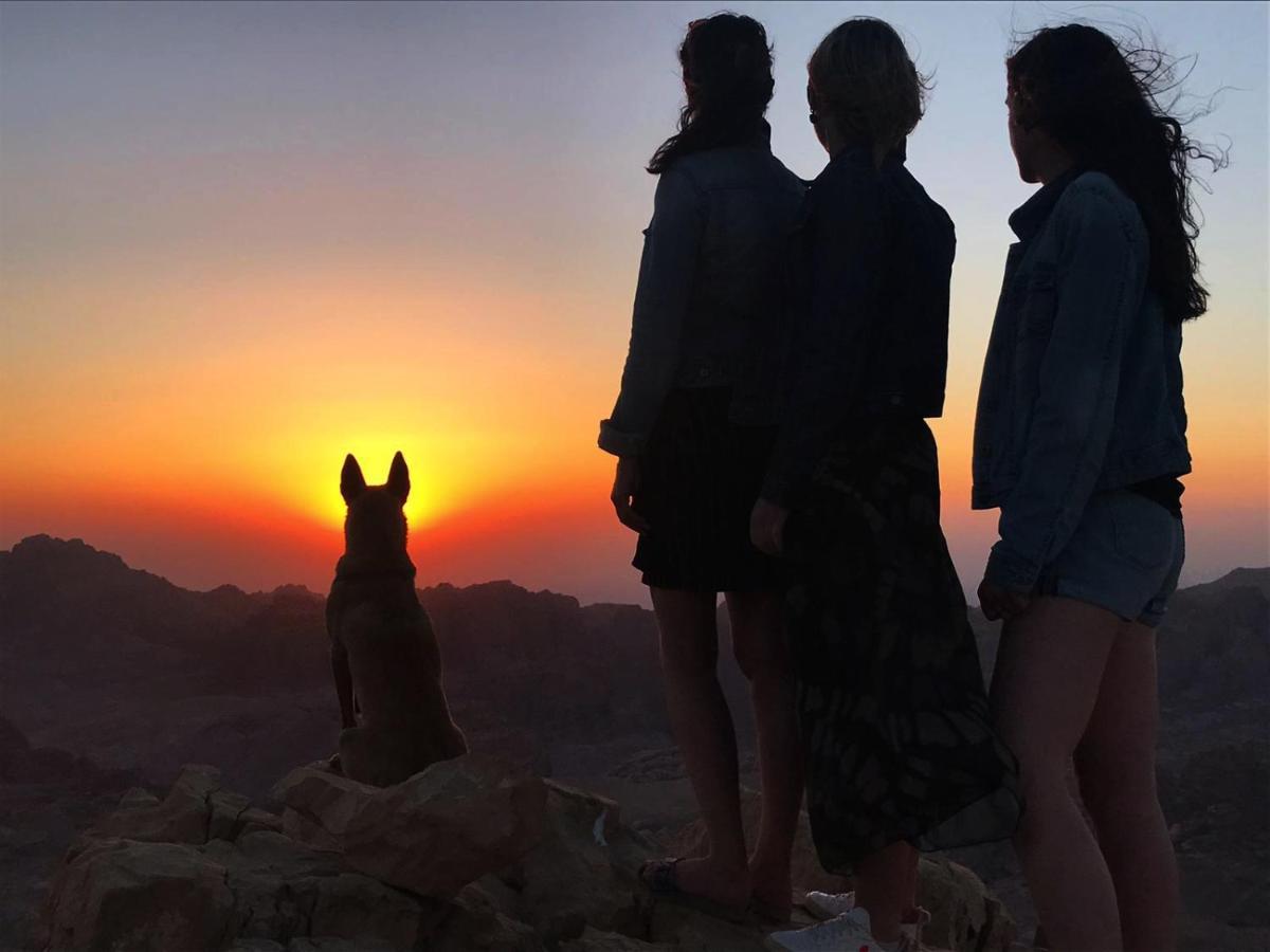 Petra Desert Dream Hotel Vádi Músza Kültér fotó