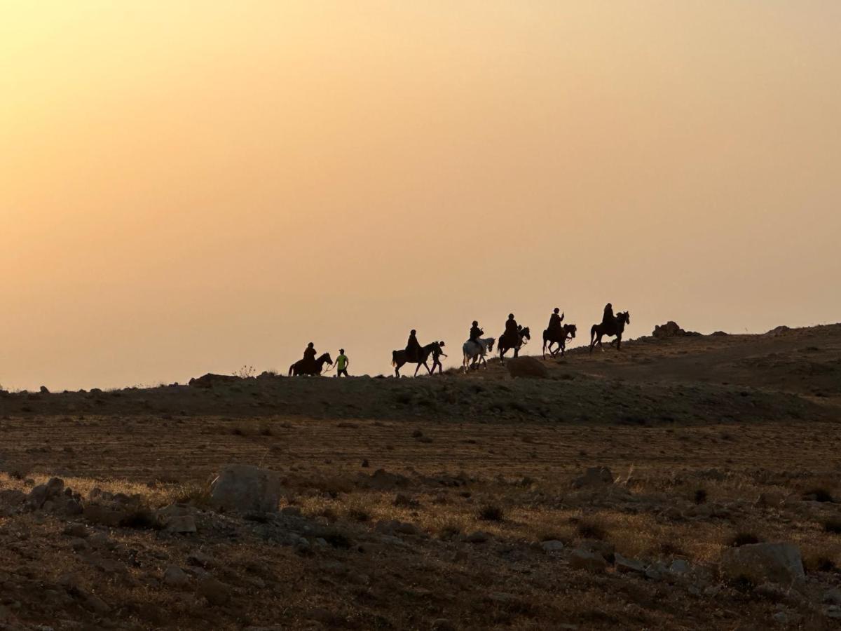 Petra Desert Dream Hotel Vádi Músza Kültér fotó