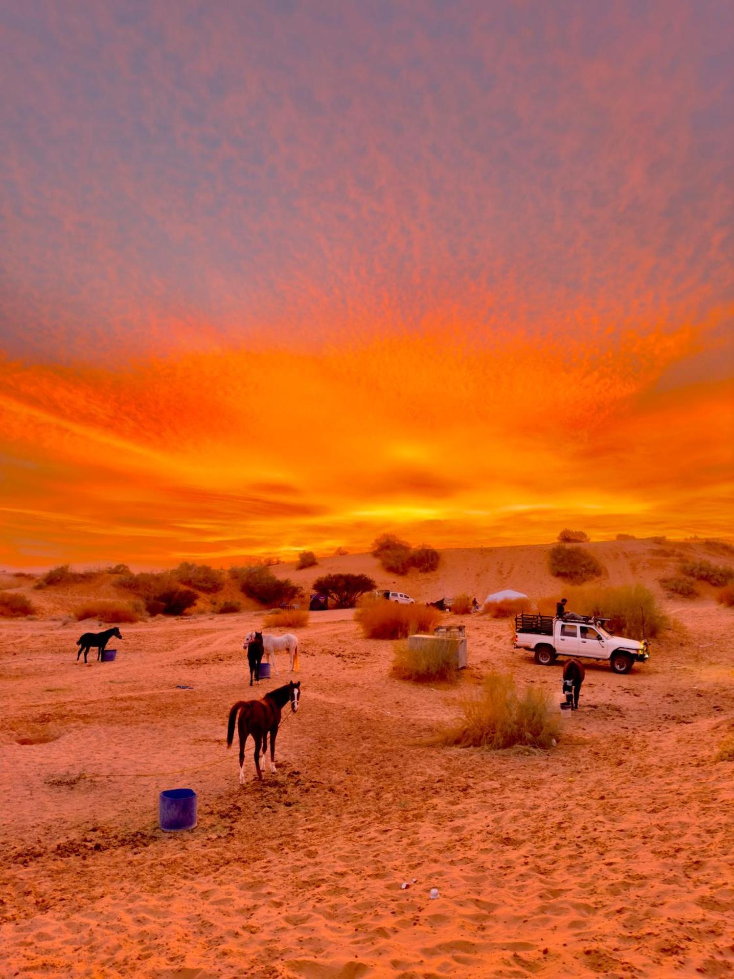 Petra Desert Dream Hotel Vádi Músza Kültér fotó