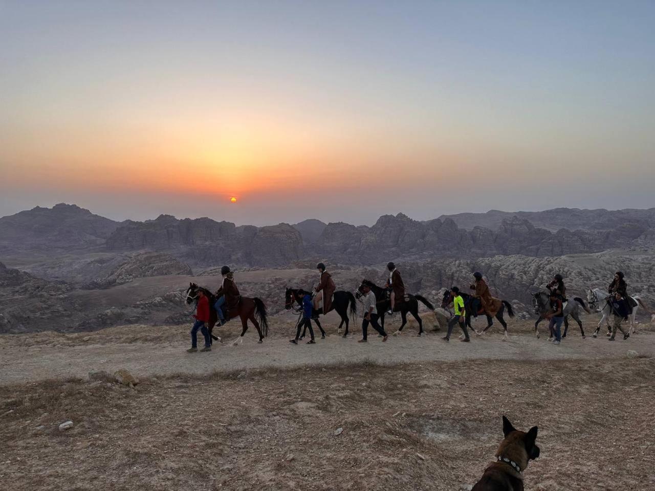 Petra Desert Dream Hotel Vádi Músza Kültér fotó